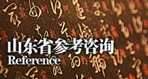 山东省考咨询