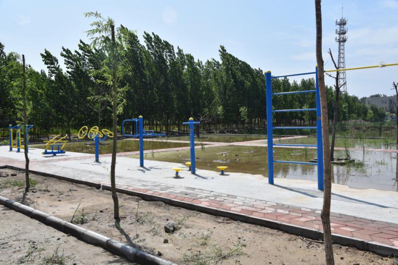 DSC_1796.JPG DSC_1796.JPG